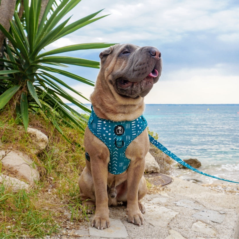 KAIA - Coleira ajustável para cães com cauda e estampa tropical