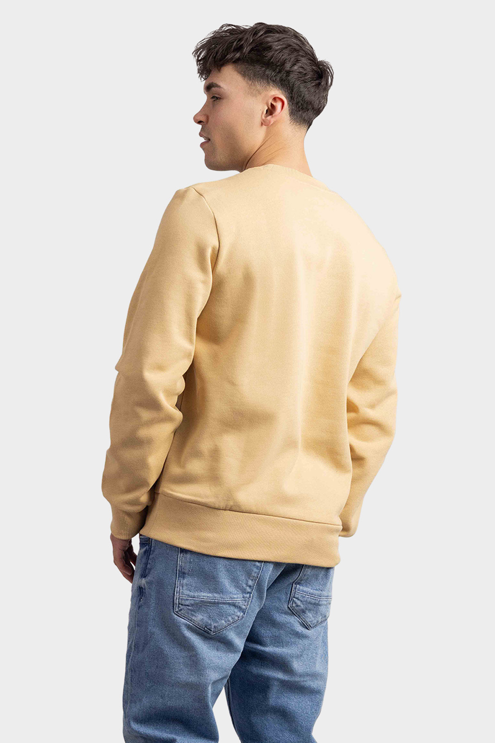 Lacoste Basic Sweater Heren Beige