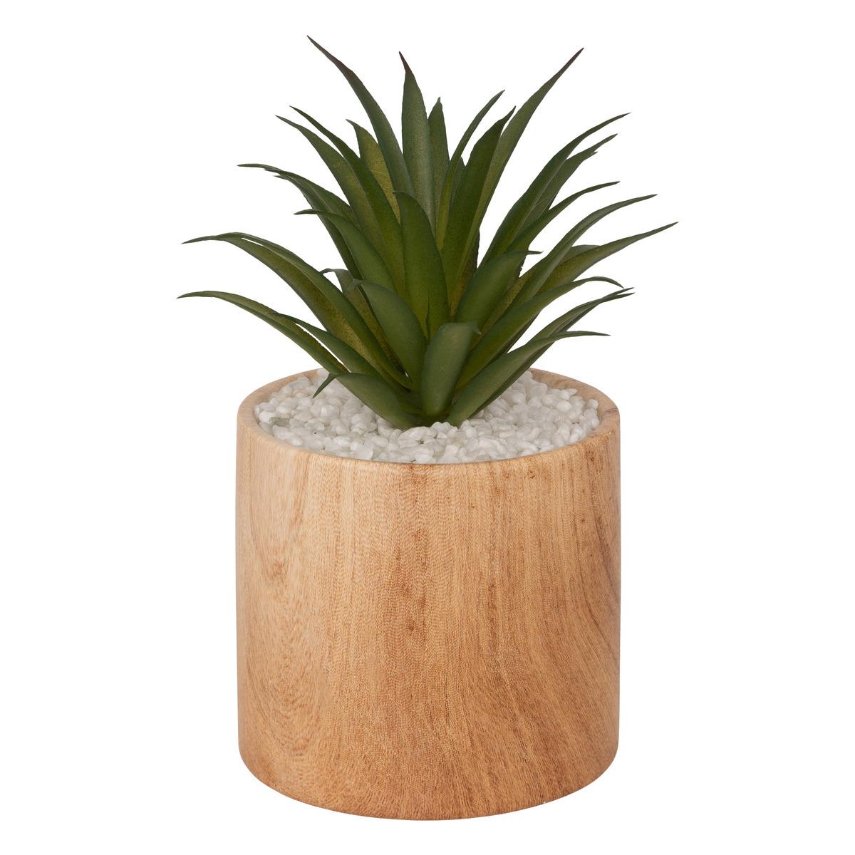 PLANTE VERRE POT CERAMIQUE BOIS SAO H.17.5CM