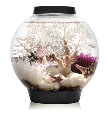biOrb Classic 15 MCR Zwart | Nano aquarium