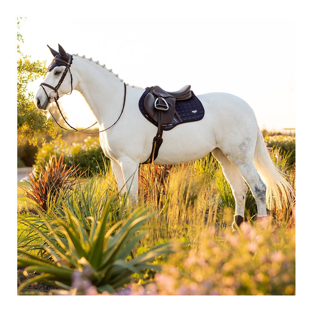 Le Mieux LOIRE CLASSIC - Tapis mixte navy