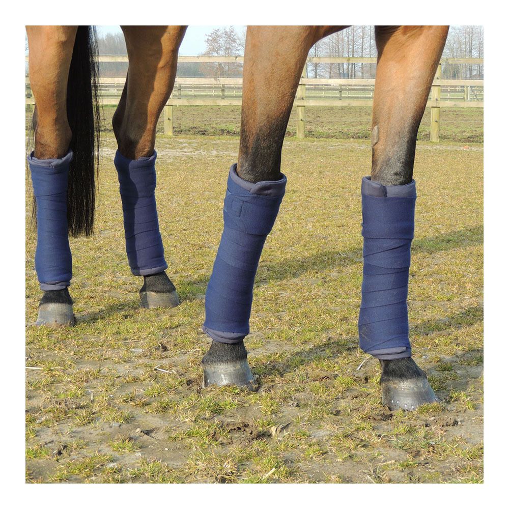 Kentucky AMERICAIN - Flanelle x4 bleu