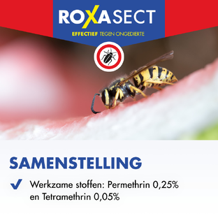 Roxasect Spuitbus Tegen Kruipende Insecten En Wespen 400ML