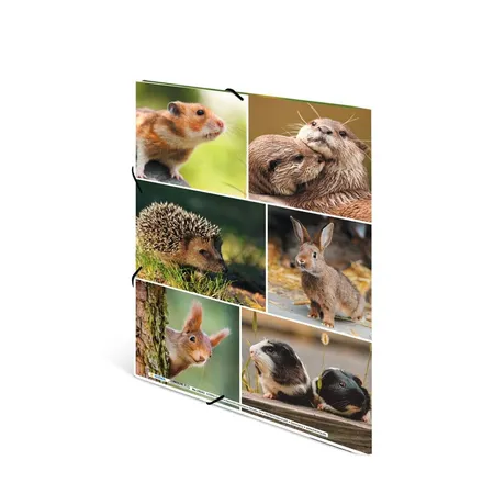 HERMA Sammelmappen A4 Karton Nagetiere