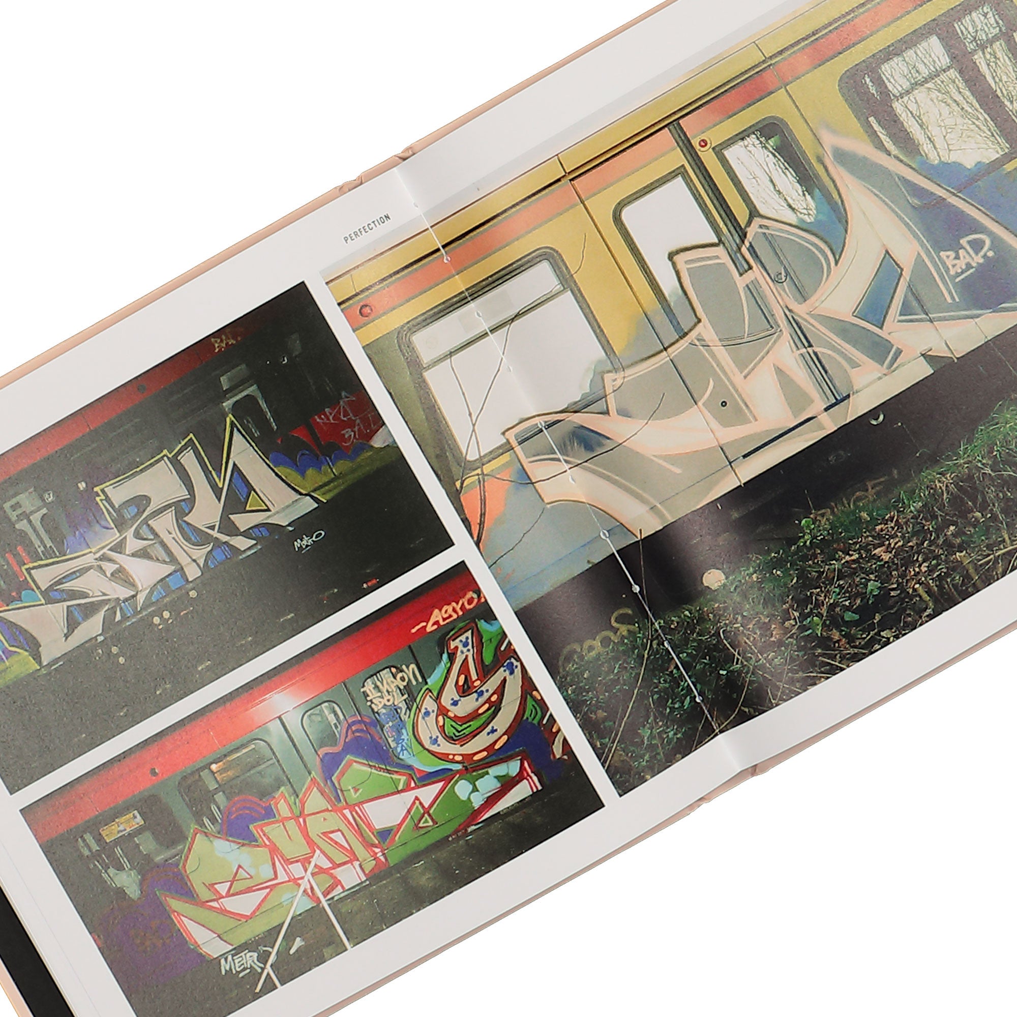 Racoon Books<br>Metro // Star - The Memories That Remain