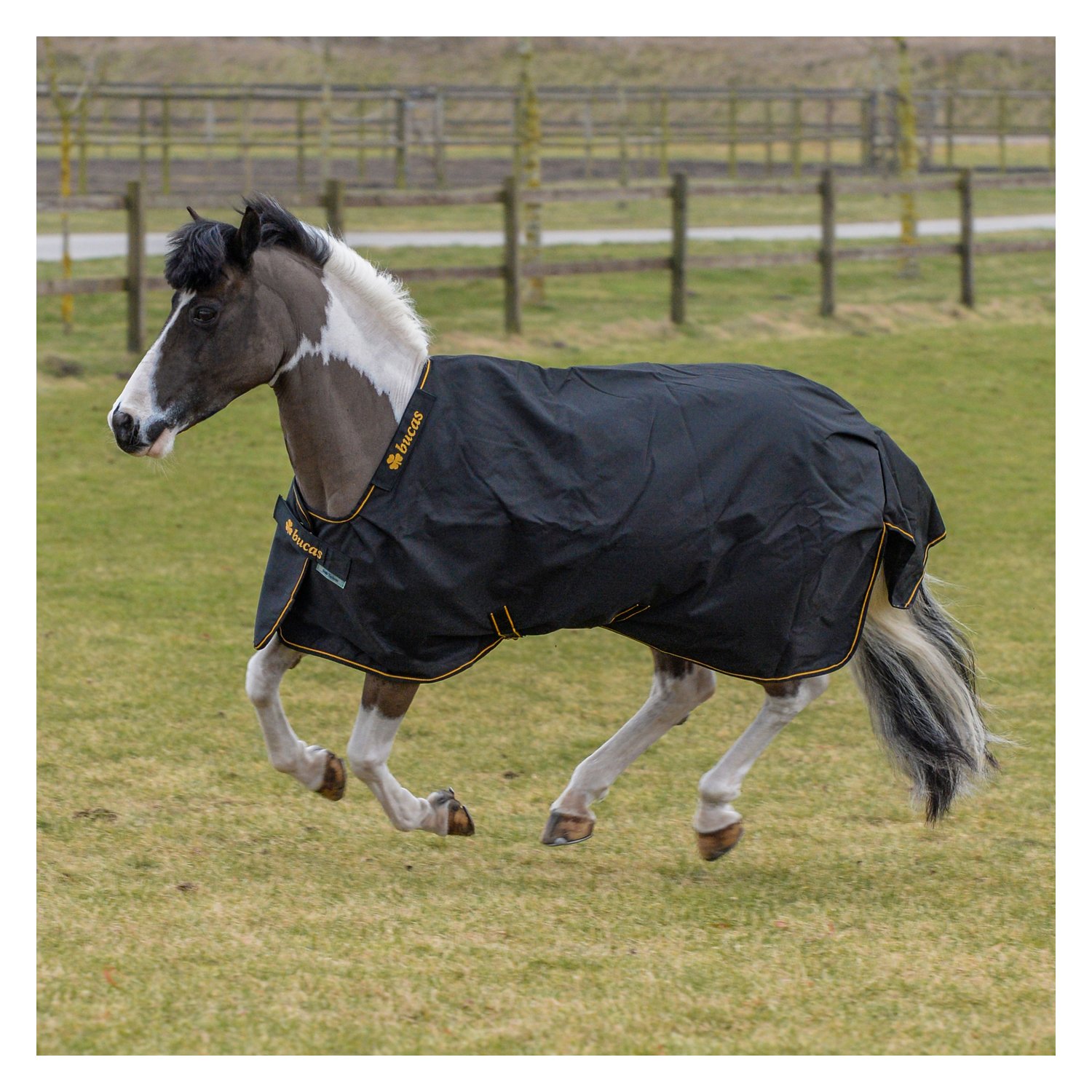 bucas Outdoordecke Irish Turnout light - black/gold