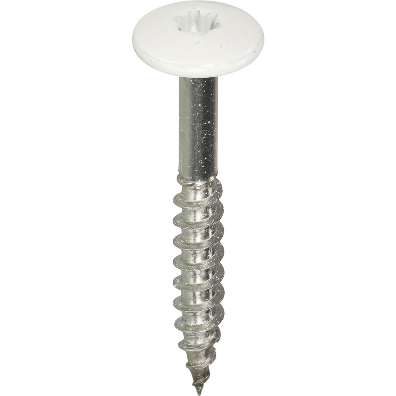 Kleurkop schroeven RVS 4,8x38mm TX20 RAL 9010 Wit