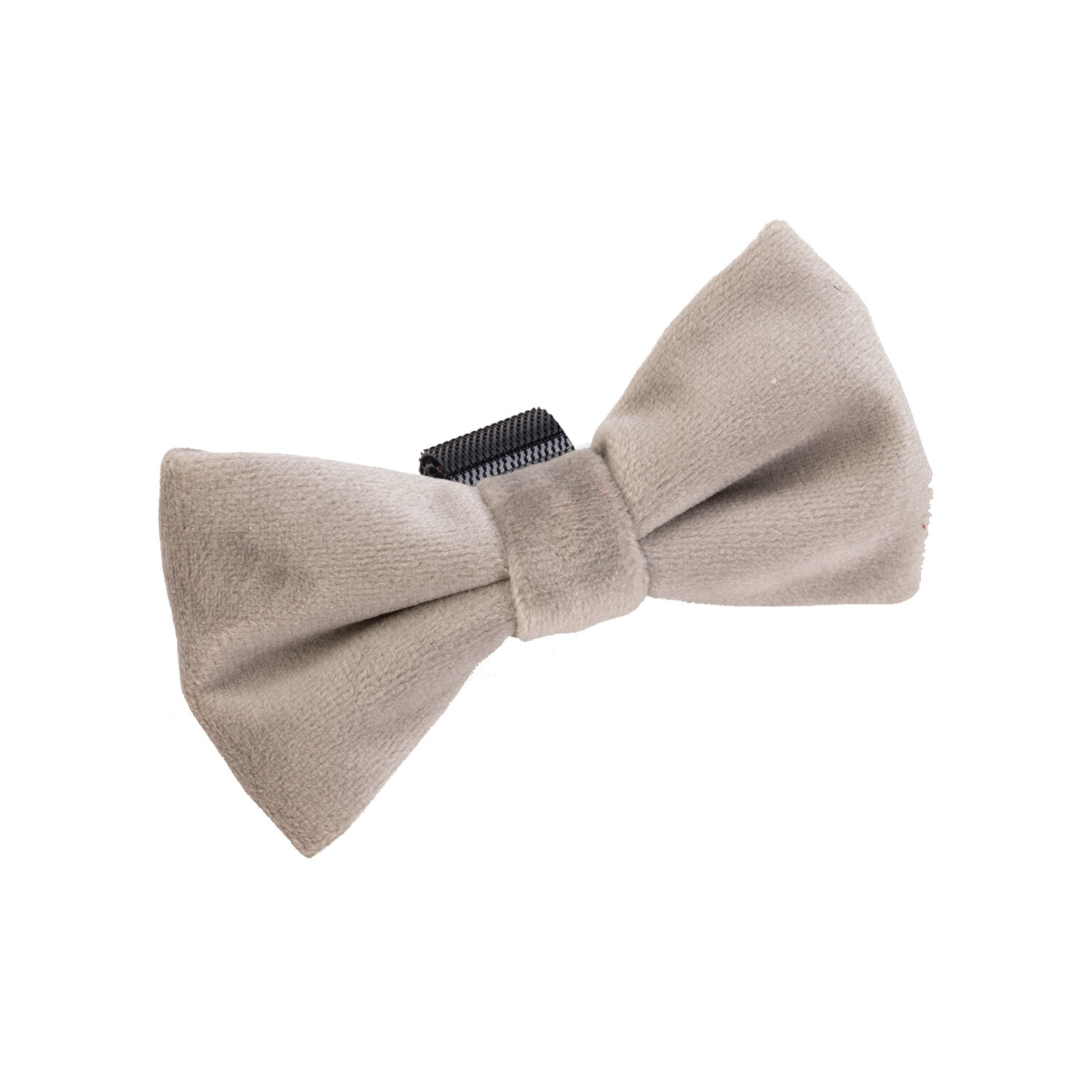 Designed by Lotte Strik Zaza - Velvet