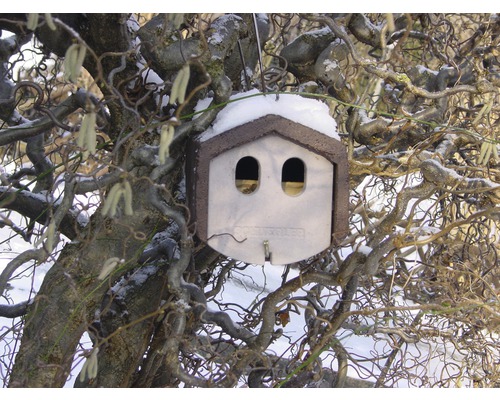 SCHWEGLER 1N nisnestkast met geïntegreerde roofdierbescherming 30 x 20 x 20 cm