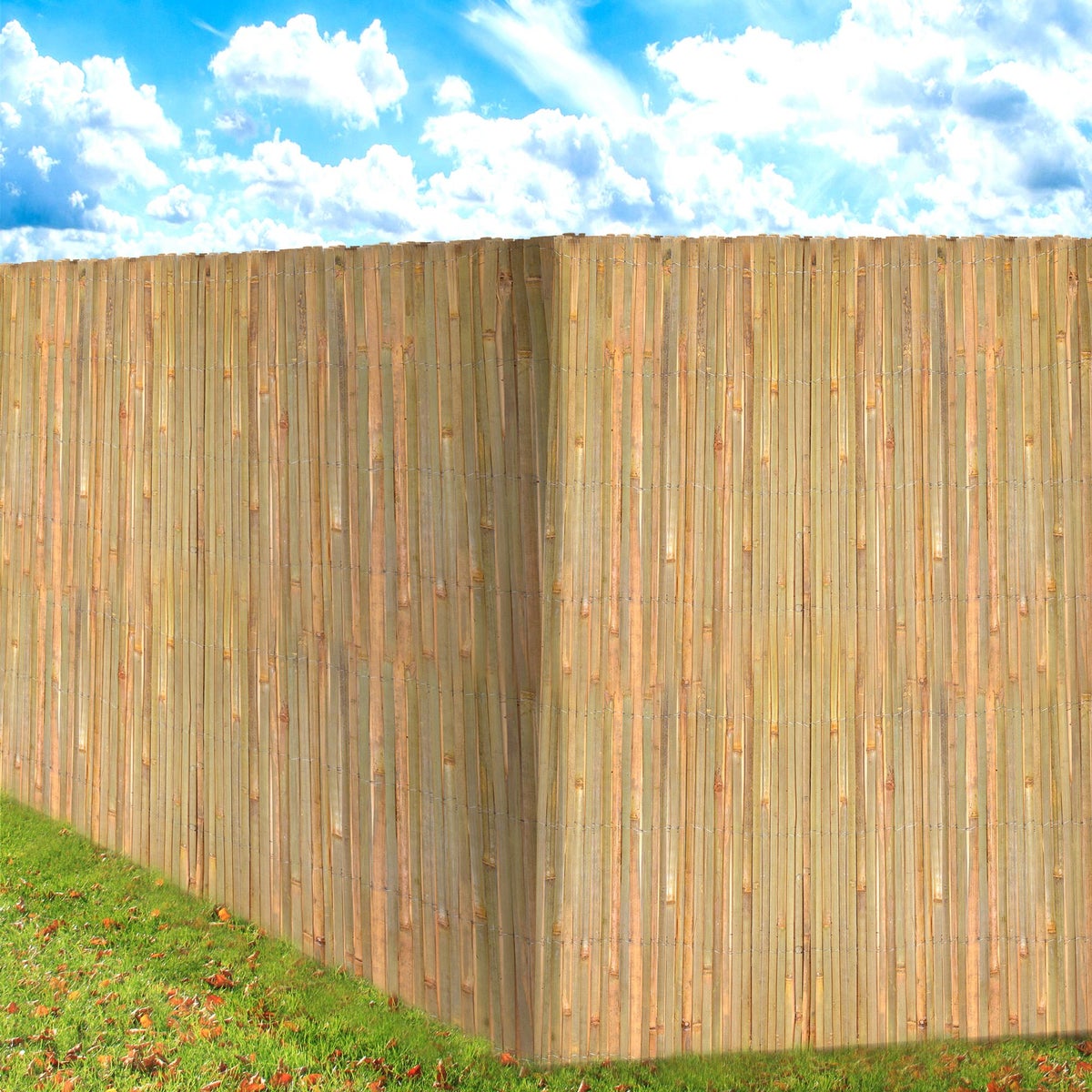 Sol Royal SolVision B89 Privacy Hek 90x300cm Bamboe