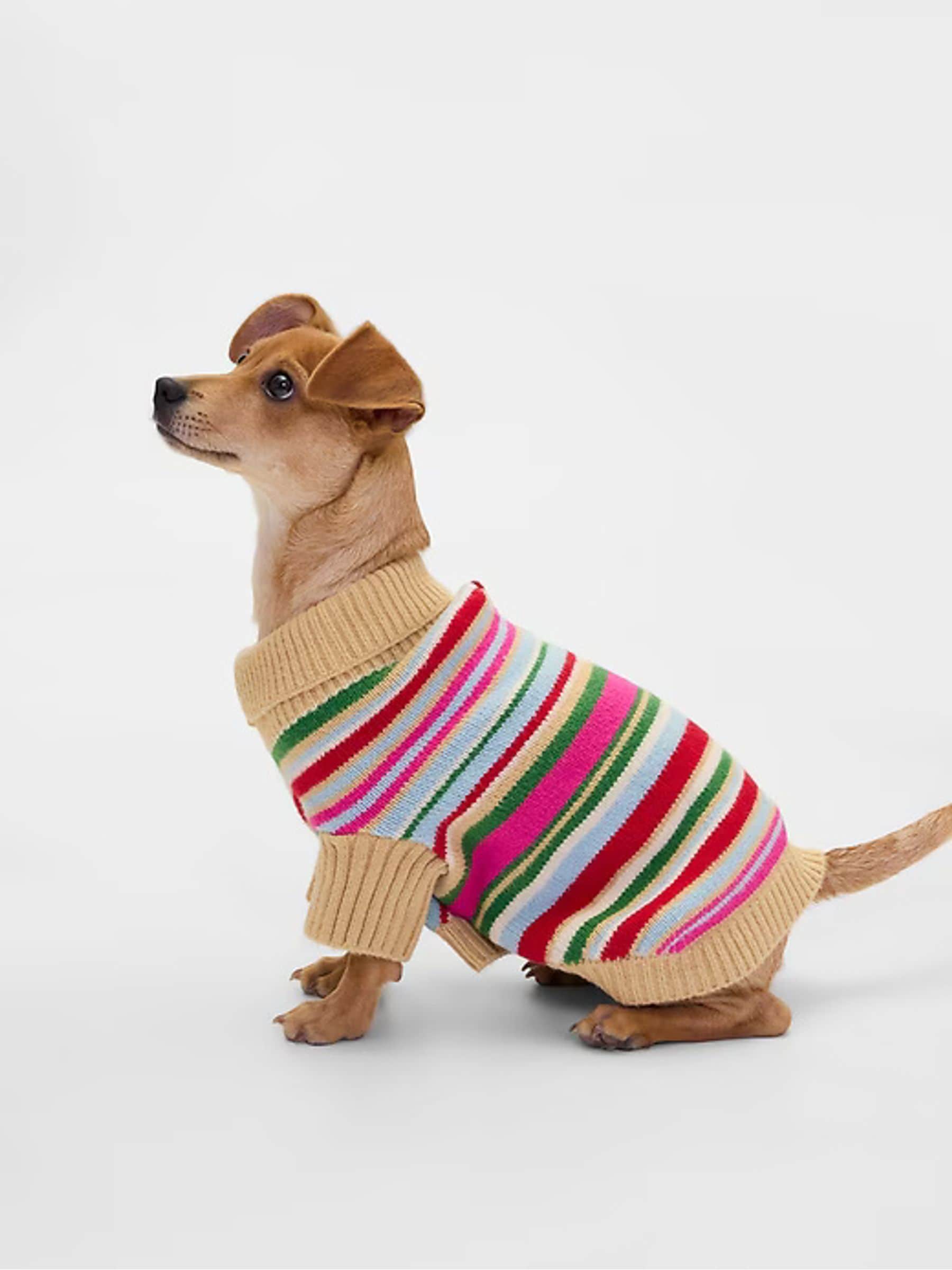 Gap Pet CashSoft Jumper