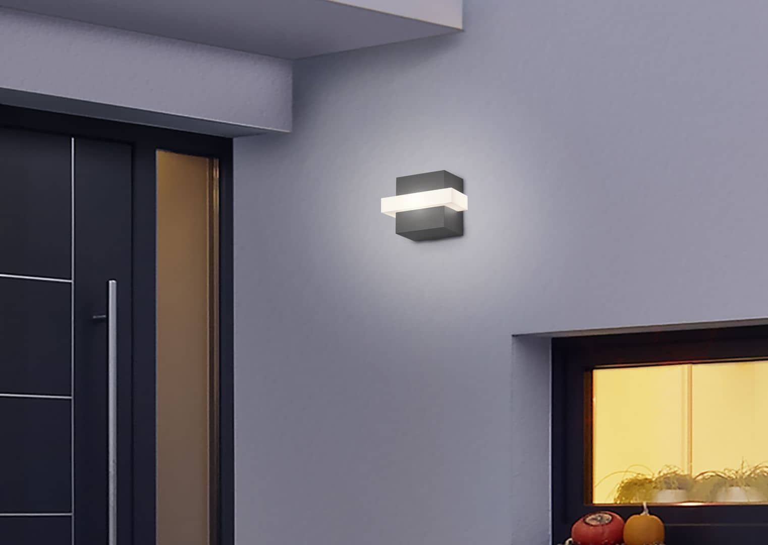 Led Wandleuchte 000769073403