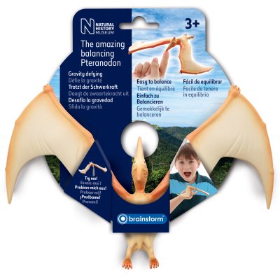 Balancing Pteranodon