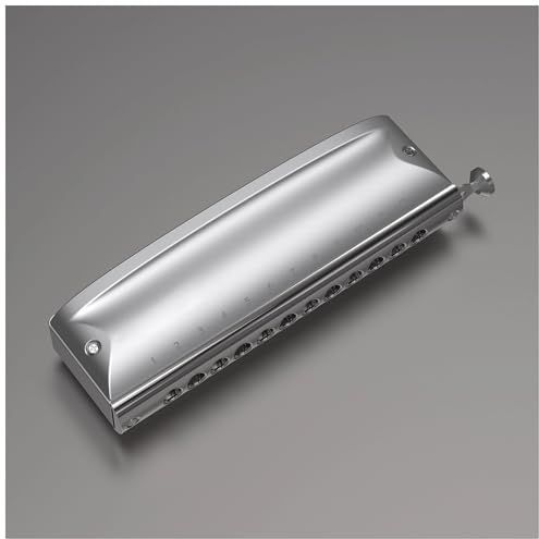 Harmonica's 12-gats Chromatische Mondharmonica Van Roestvrij Staal Mondstuk En Schuif Voor Mondharmonica(G Tone)