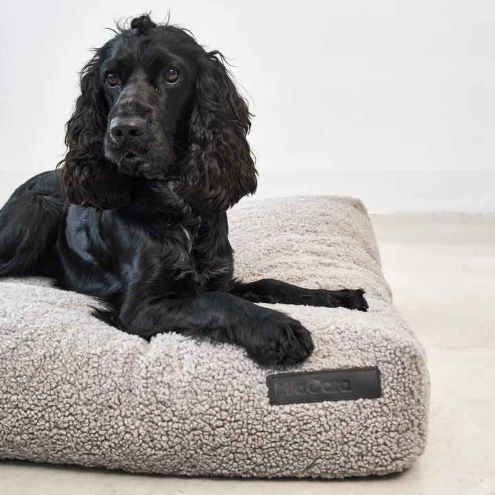 MiaCara - Senso Hundekissen, M, greige