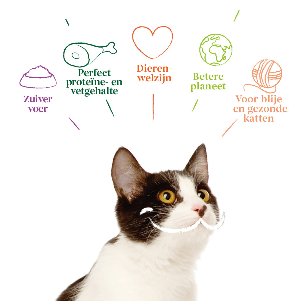16x Yarrah Bio Kattenvoer Paté Zalm100 gr