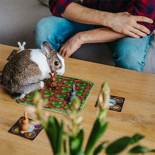 Smart games familiespel grabbit