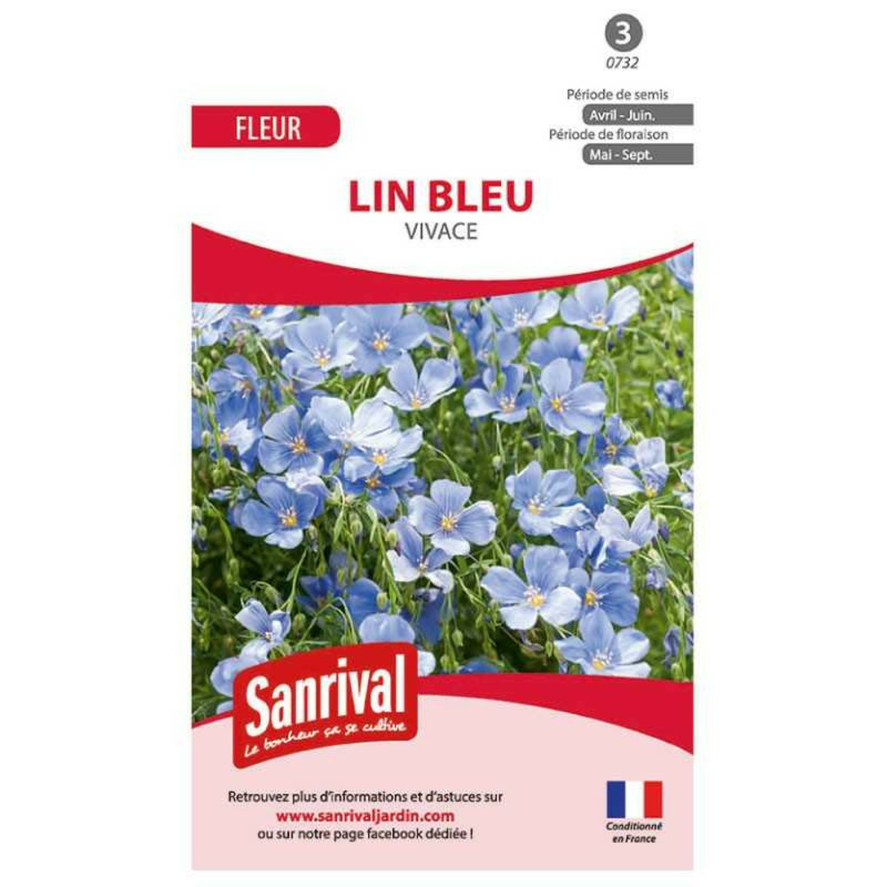 Graines de lin bleu