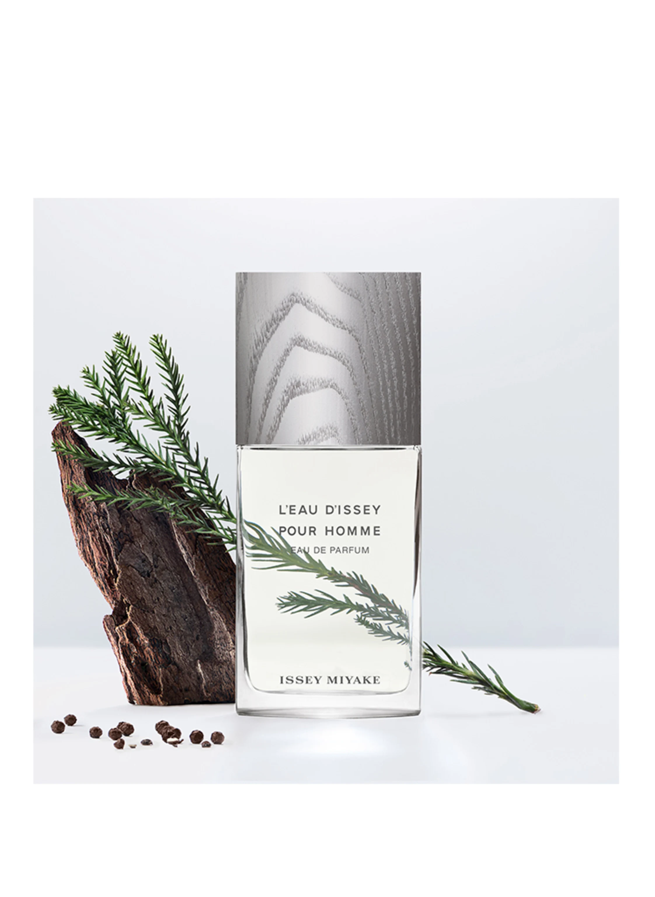 ISSEY MIYAKE L'EAU D'ISSEY POUR HOMME