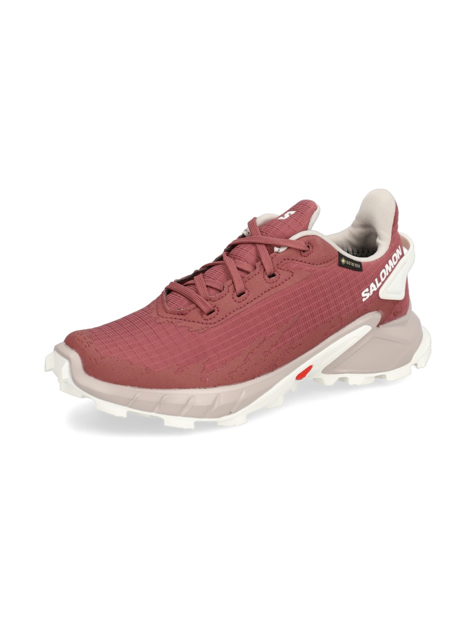 ALPHACROSS 4 GORE-TEX