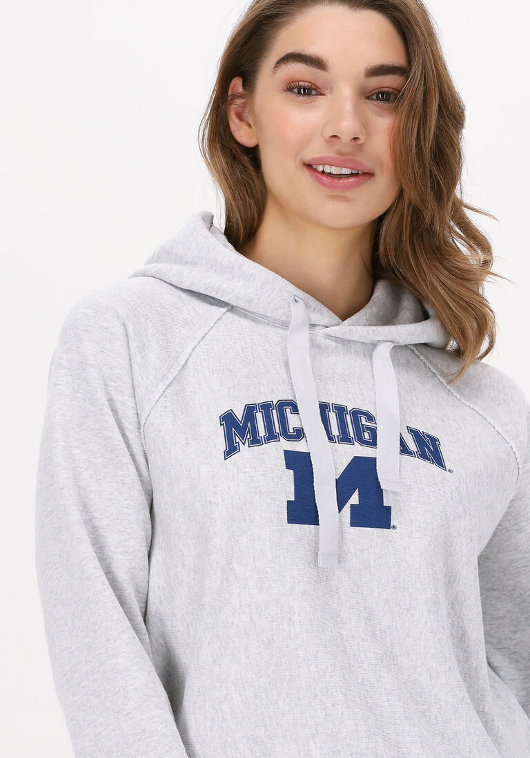 CHAMPION lichtgrijze champion trui hooded sweatshirt 115110