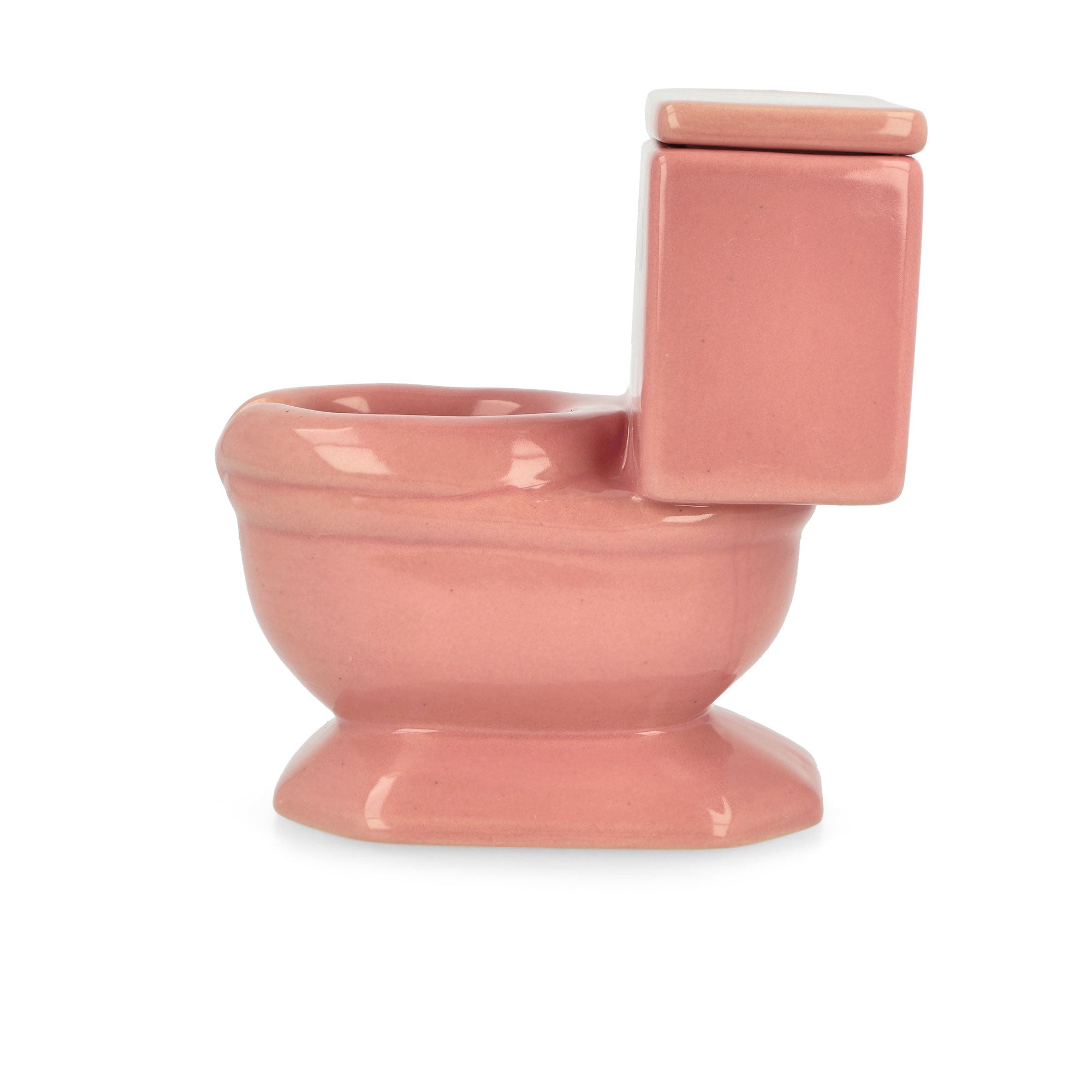 Pleasures<br>Toilet Ashtray