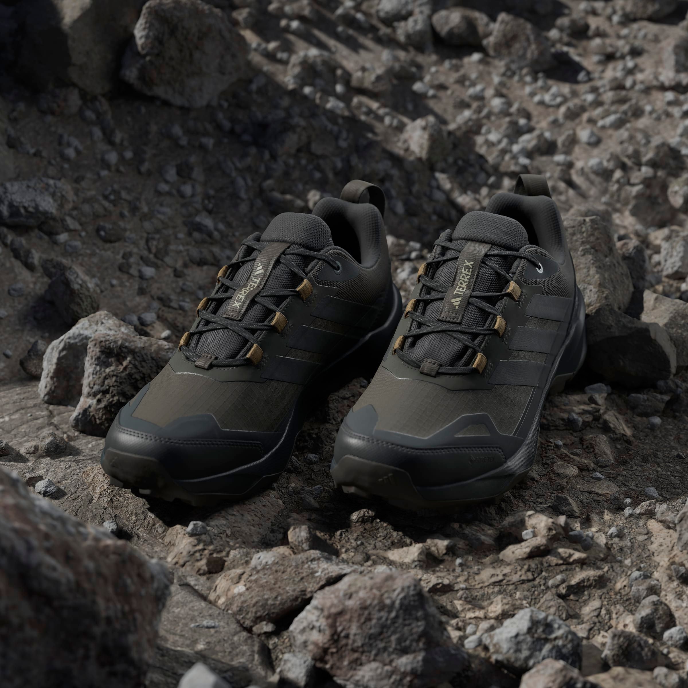 adidas TERREX Wanderschuh »TERREX SKYCHASER AX5 GORE-TEX«  wasserdicht