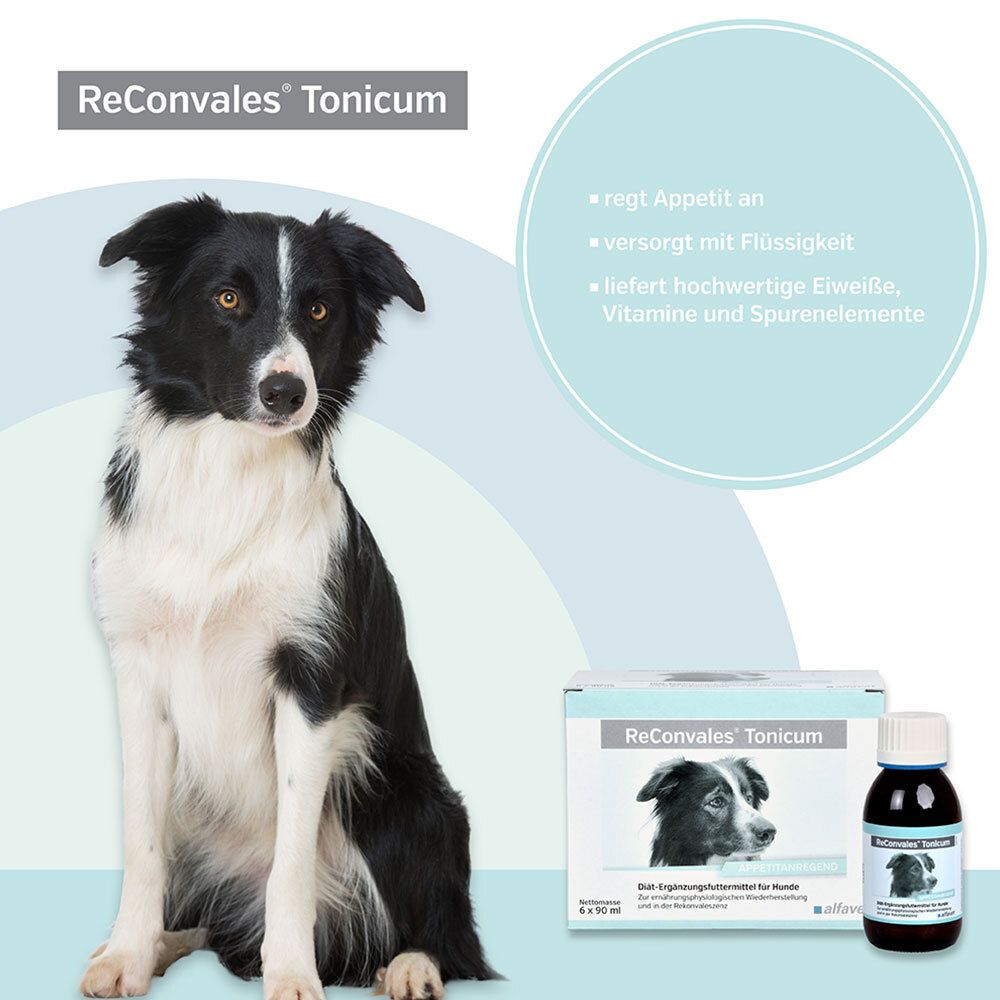 ReConvales® Tonicum für Hunde