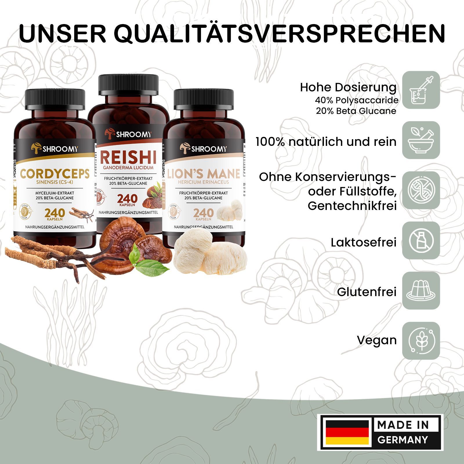 SHROOMY Lions Mane, Cordyceps und Reishi Extrakt Kapseln im Set