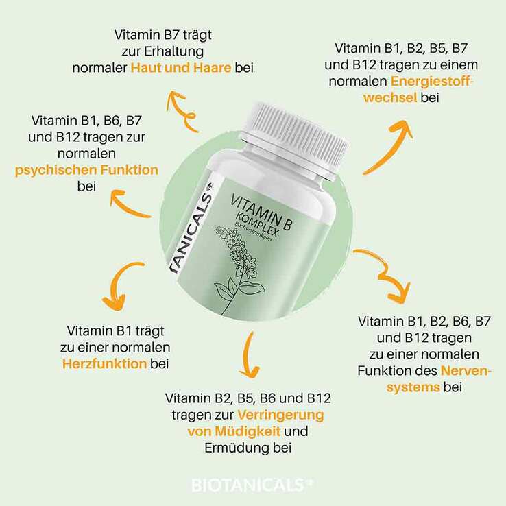 Biotanicals Vitamin B Kapseln, 90 St