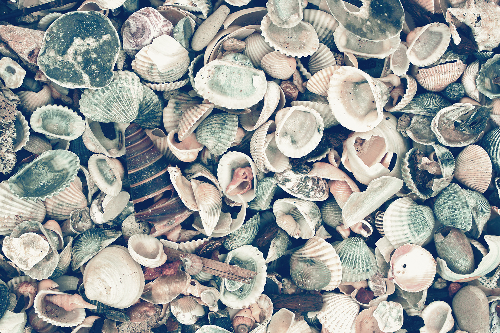 Sylt