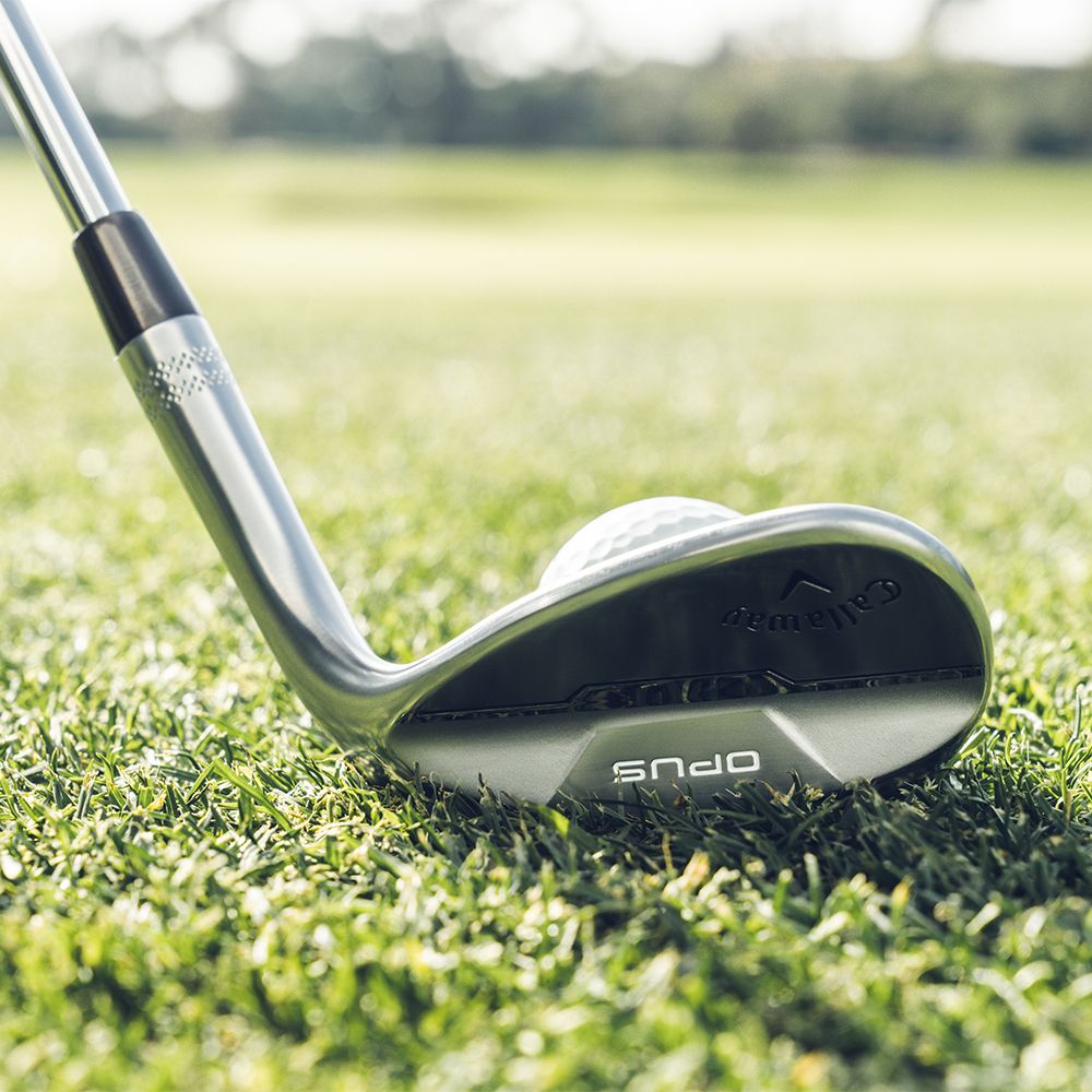 Opus Brushed Chrome Wedge Dame