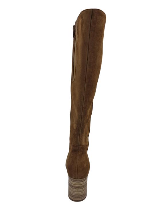 Gabor 35.539 chino