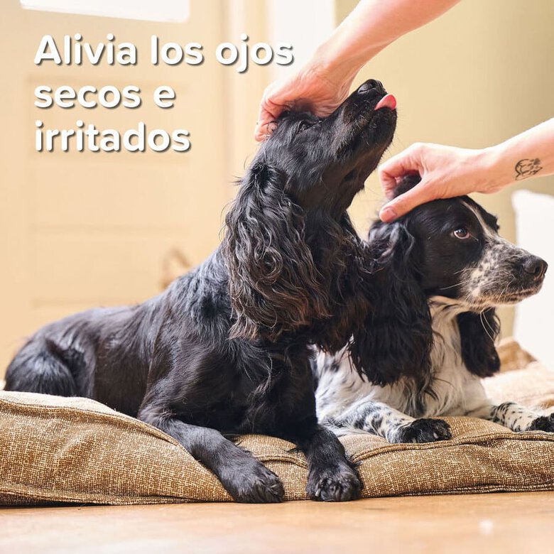 Gel oftálmico para animais de estimação Beaphar