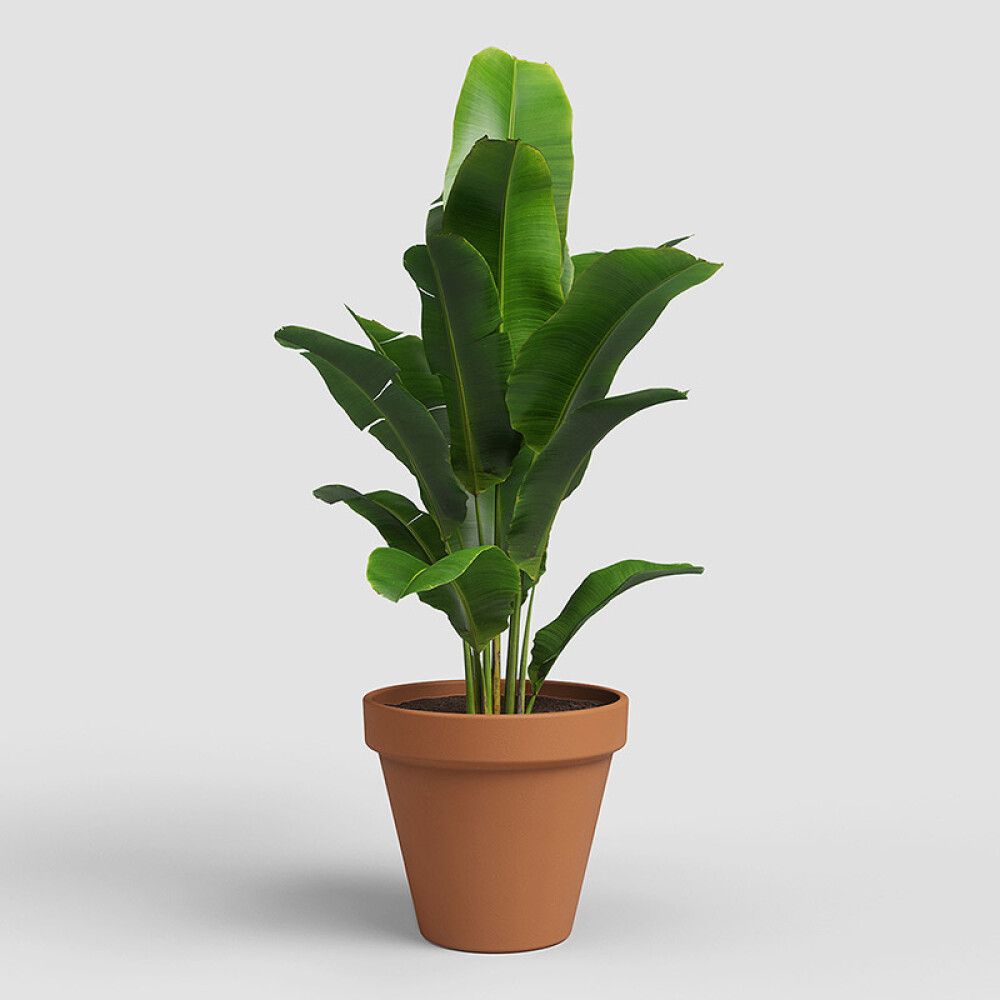 UTEPOTTE ARTEVASI AMÁLIA TERRAKOTTA 25CM
