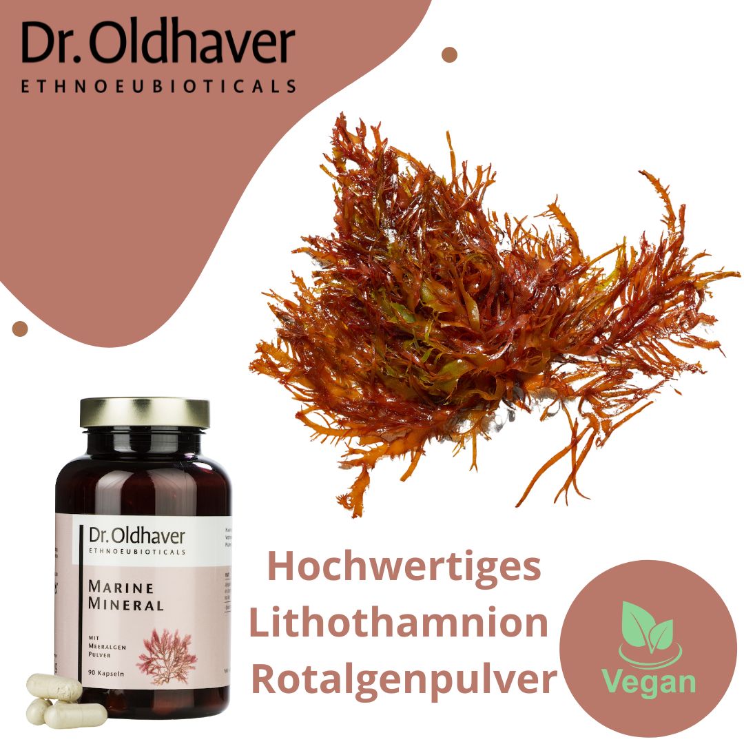 Dr. Oldhaver Marine Mineral Meeralgenpulver