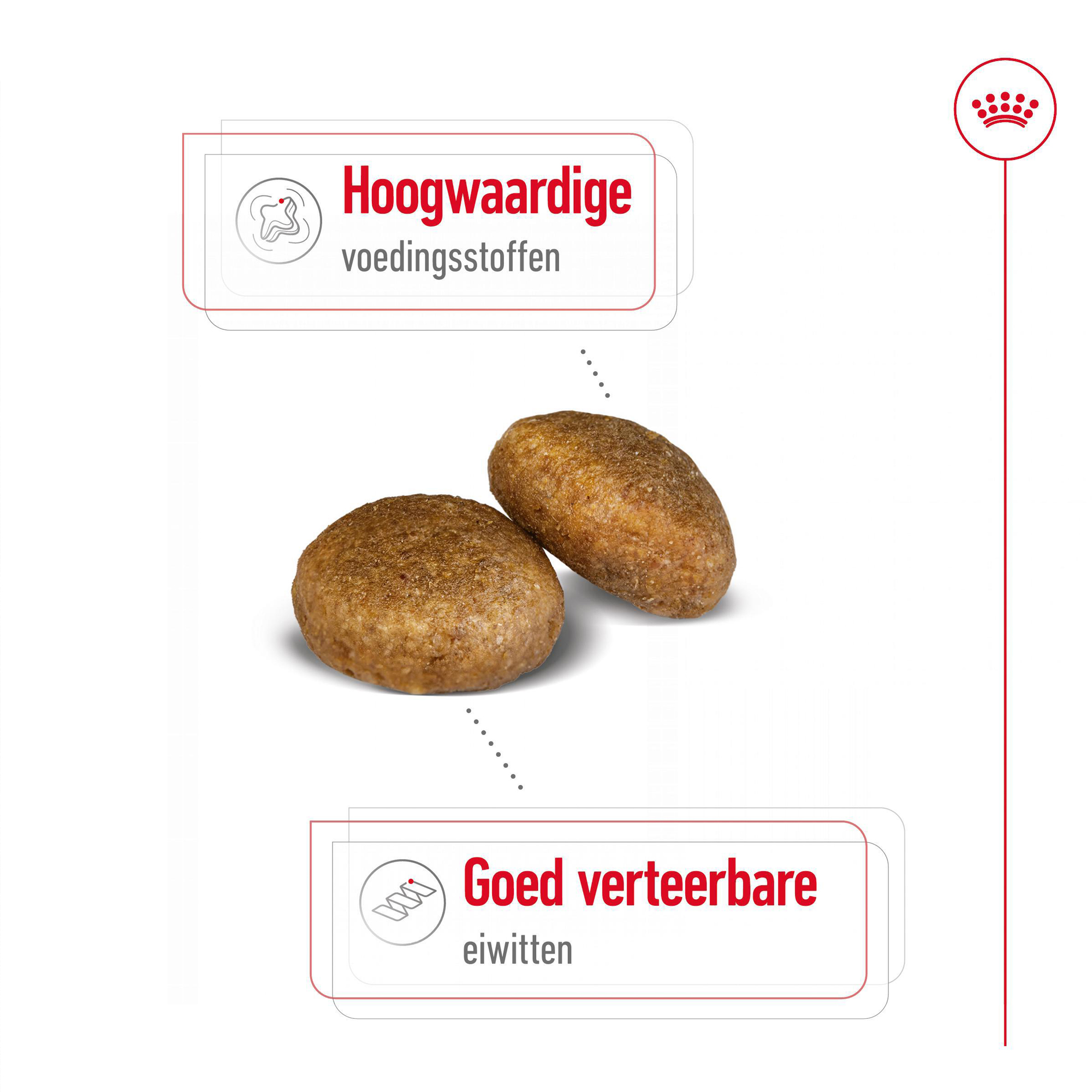 Royal Canin Maxi Adult - Hondenvoer