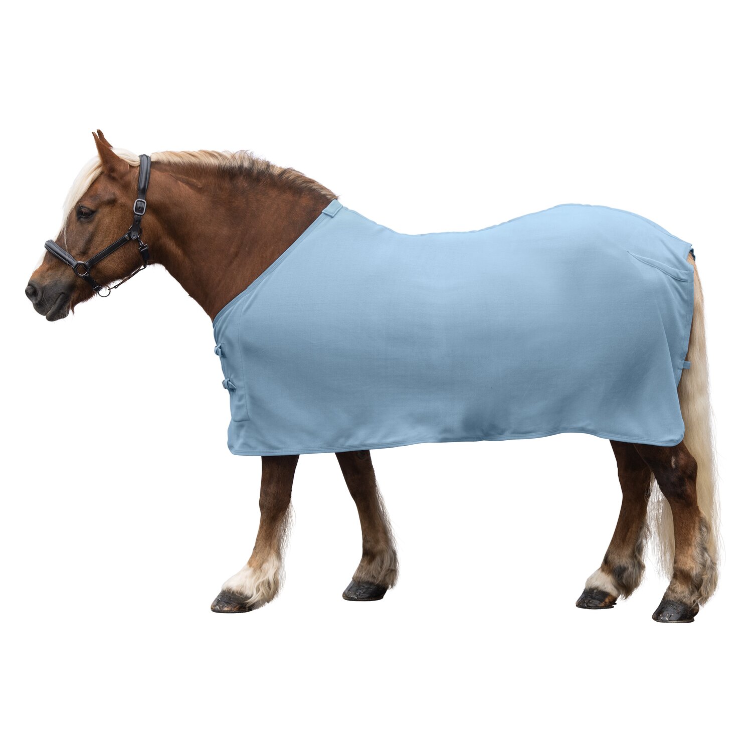 Horse-friends Abschwitzdecke XL Dakar  - sky blue