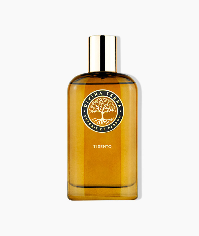 Ti Sento DIVINA TERRA 100 ML