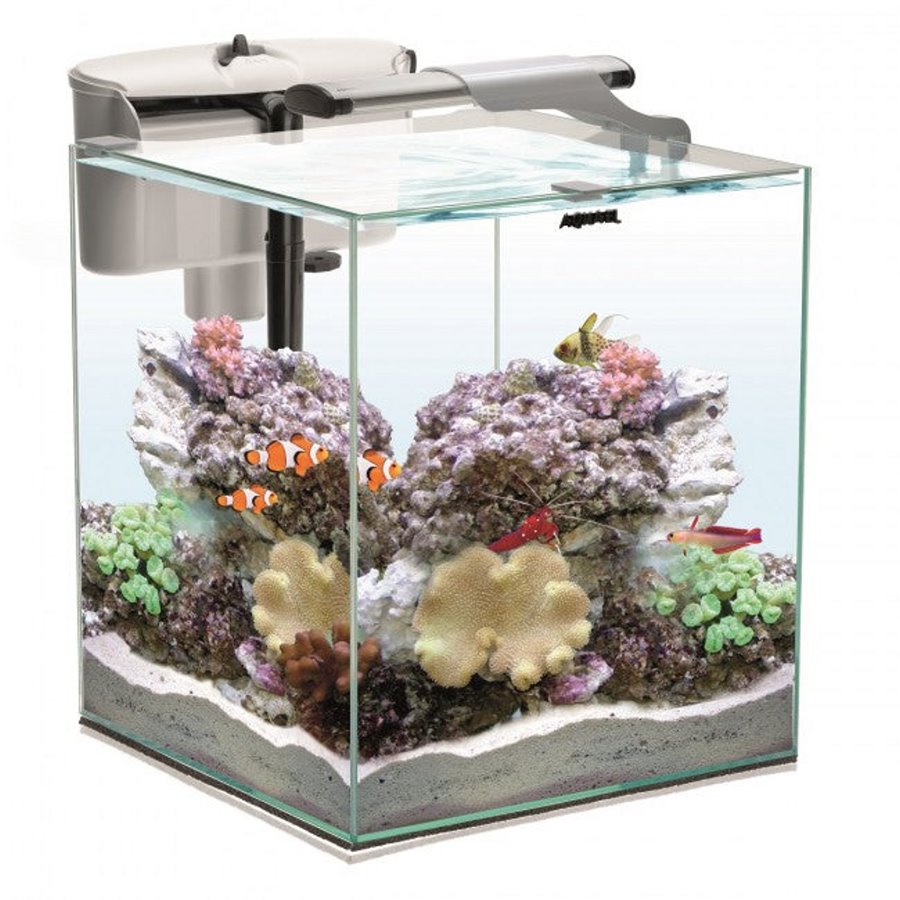 Conjunto Aquael Peixe e Camarão DUO D&N 35