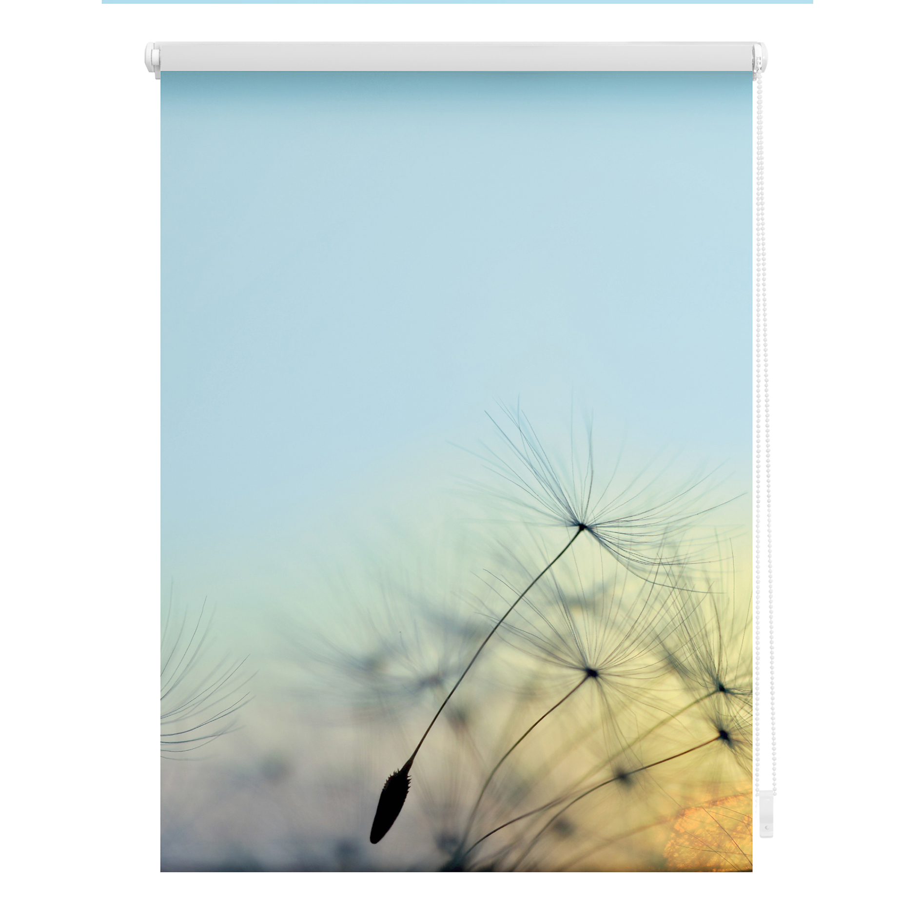 LICHTBLICK Rollo Klemmfix PUSTEBLUME - blau - 45x150 cm