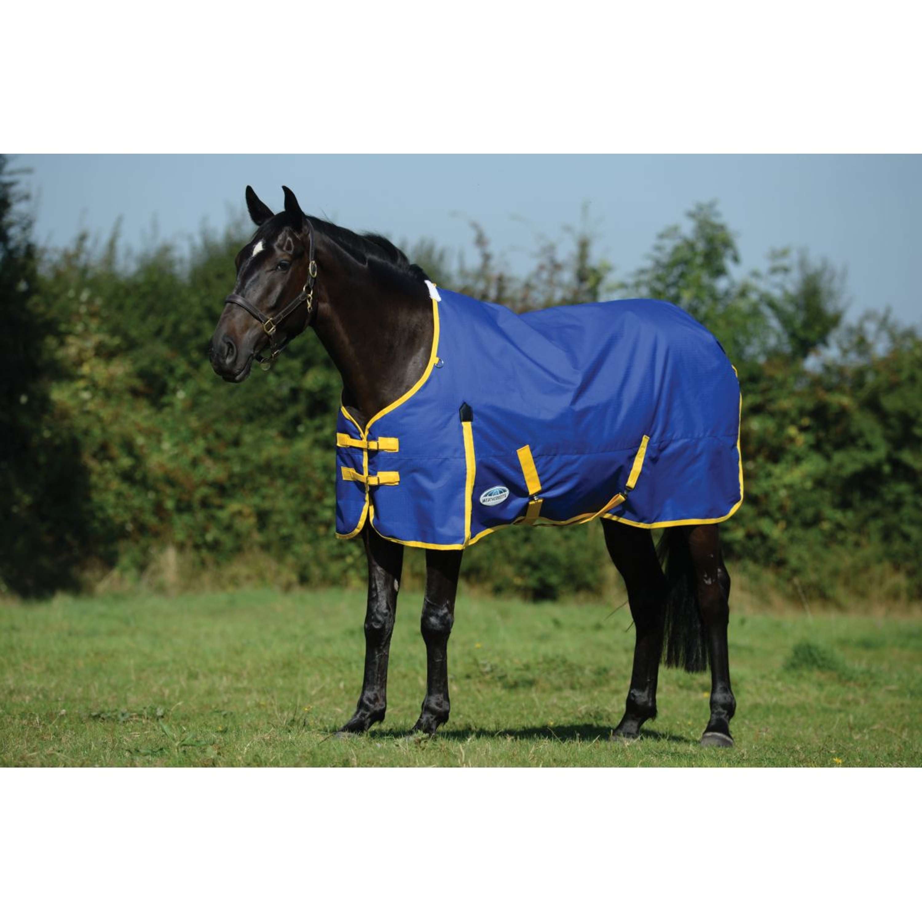 WeatherBeeta ComFiTec Classic Standard Neck Medium 220g Blauw/Citroen