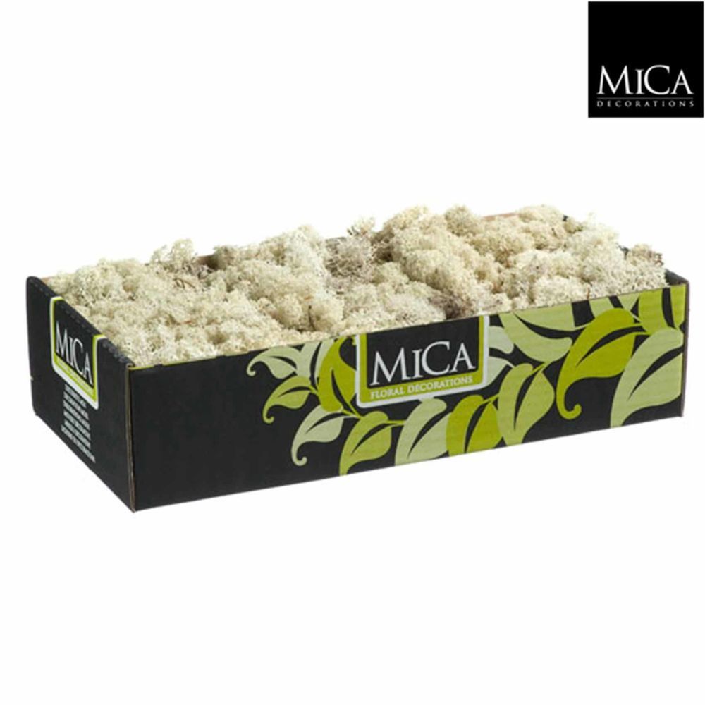 Mica decorations fleuriste rendiermos - 1x1x5 cm - pe - naturel