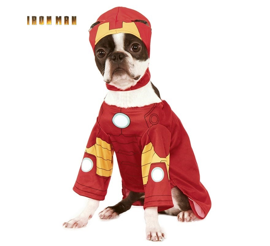 Fantasia do Homem de Ferro com chapéu para cachorro