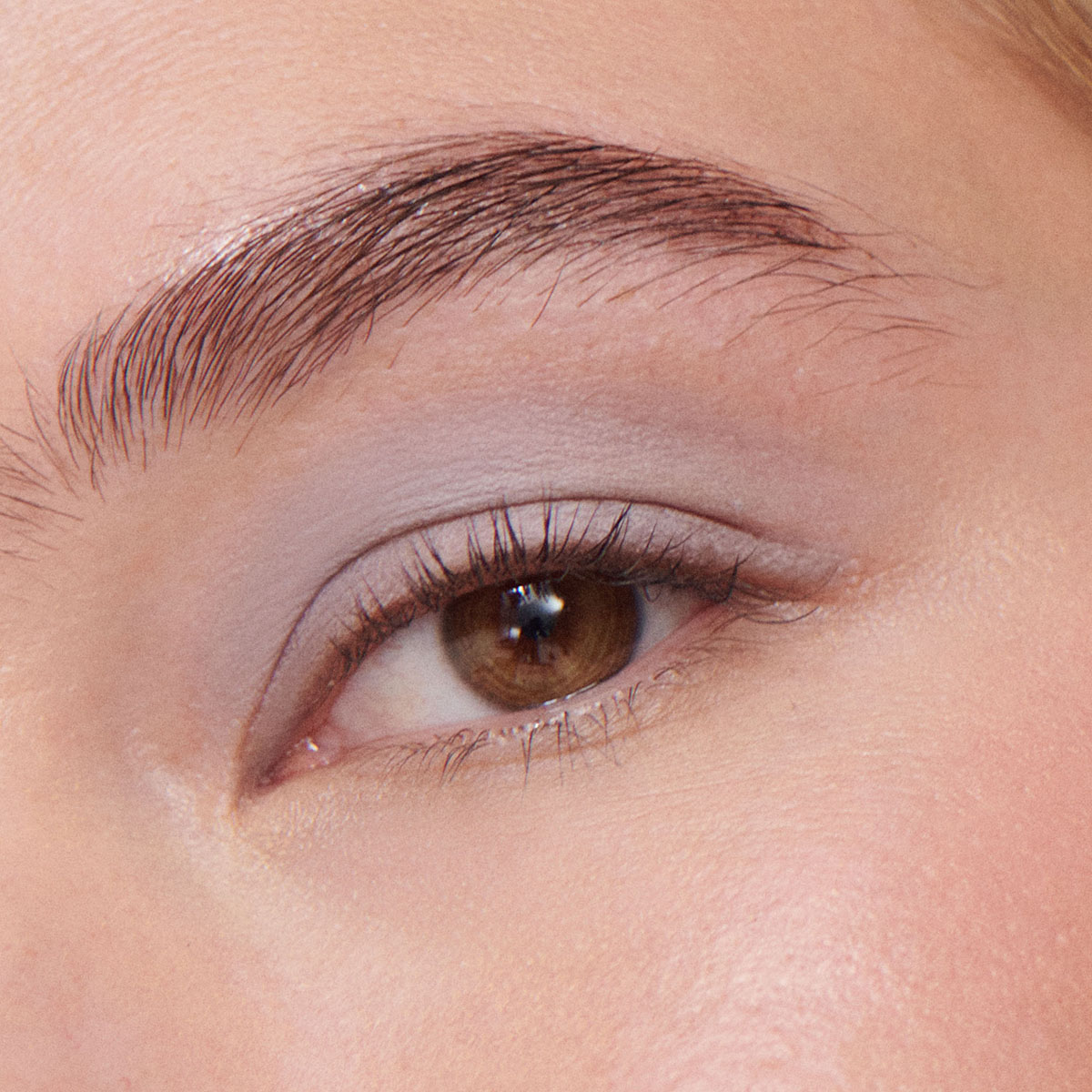 Liquid Powder Matte Eye Tint Dove