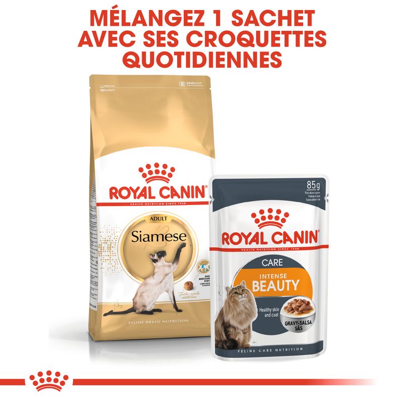 Royal Canin Siamois Adult à prix discount sur bitiba.fr