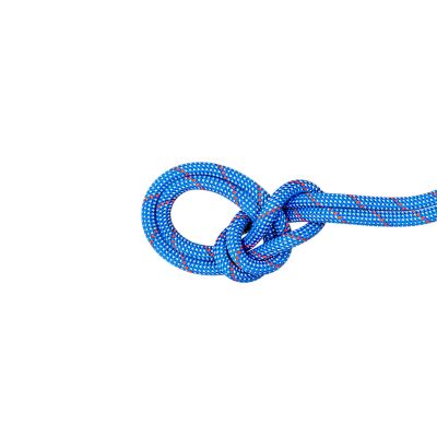 Mammut9.5 Crag Classic Rope - blau