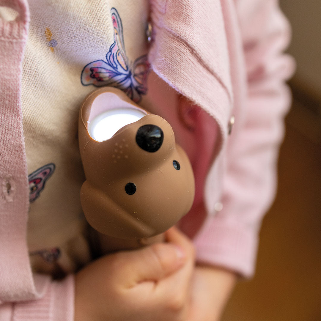 Rabbit & friends zaklamp hond