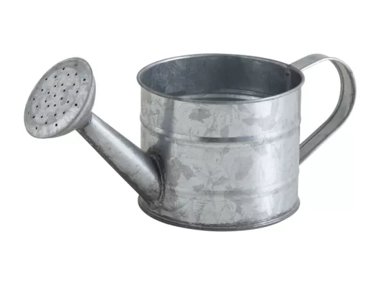 Petit arrosoir déco 75cl en zinc