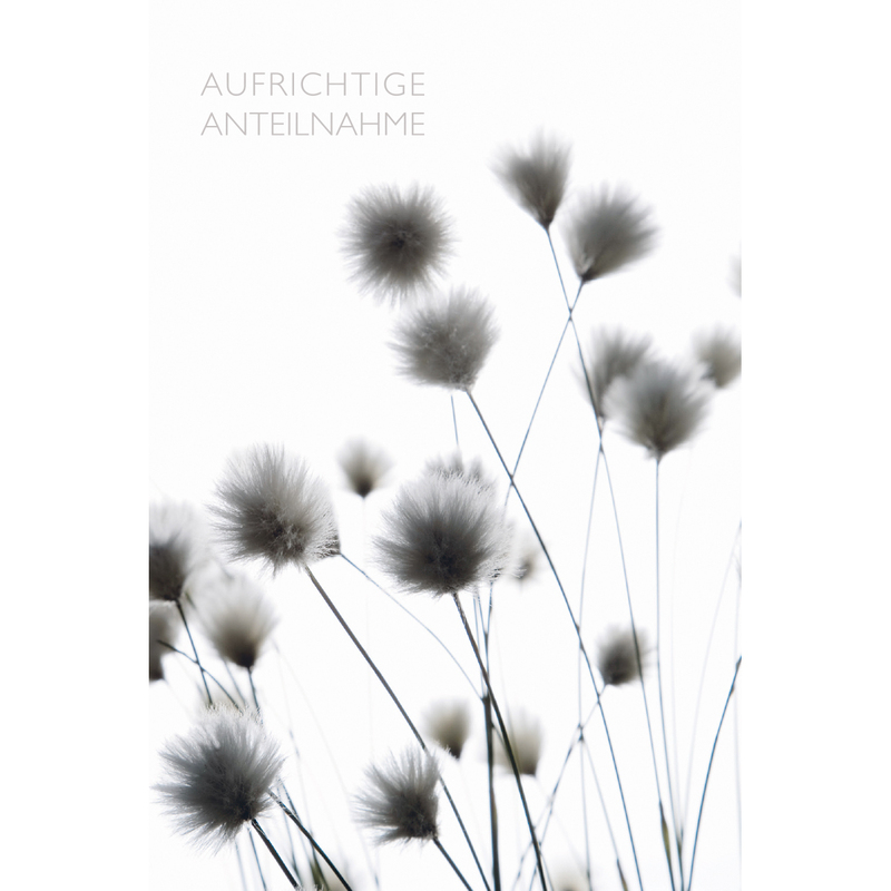 ABC Trauerkarte, 12.5 x 17.6 cm, Schwarze Blüten
